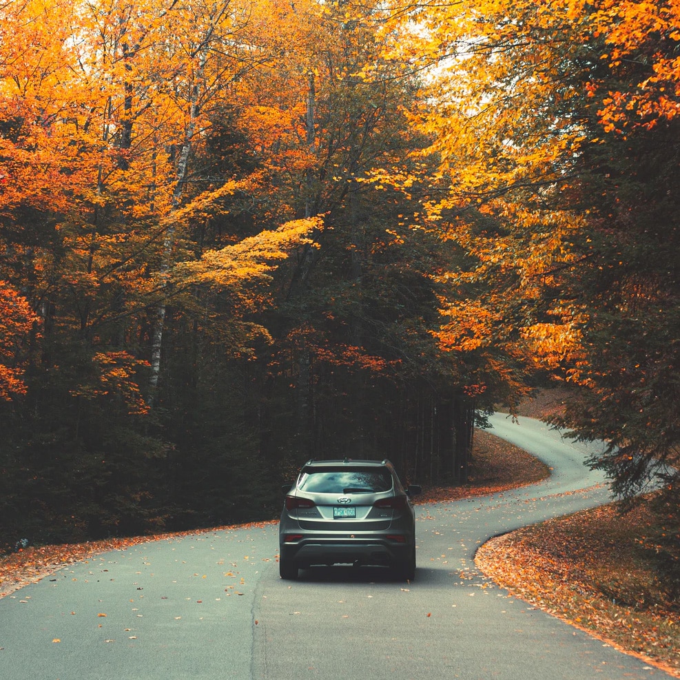 Car driving down the road in fall.